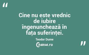 Cine nu este vrednic de iubire îngenunchează în faţa suferinţei. Teodor Dume...