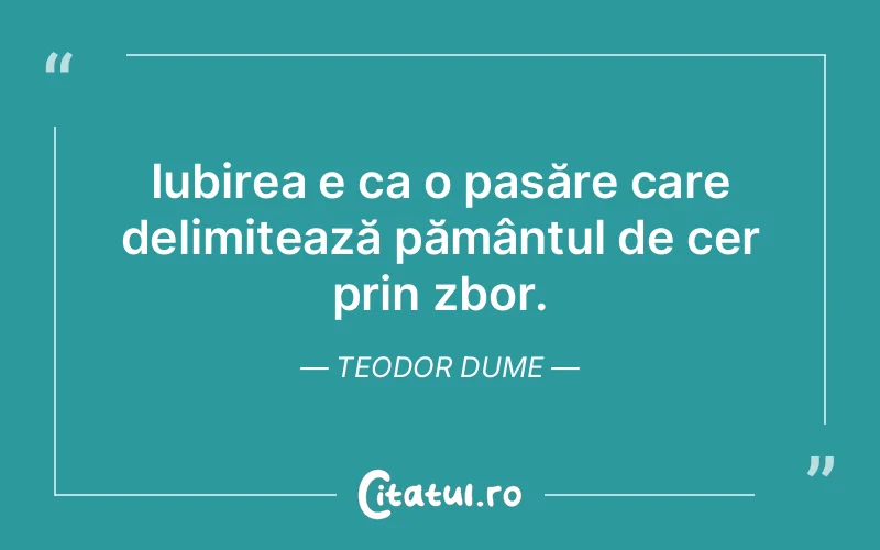 Iubirea e ca o pasăre care delimitează pământul de cer prin zbor. Teodor Dume