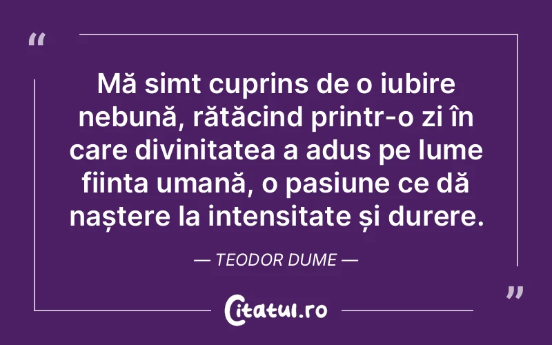 Mă simt cuprins de o iubire nebună, rătăcind printr-o zi în care divinitatea a adus pe lume ființa umană, o pasiune ce dă naștere la intensitate și durere. Teodor Dume