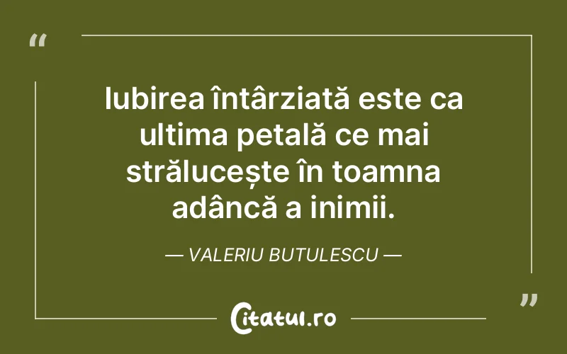 Iubirea întârziată este ca ultima petală ce mai strălucește în toamna adâncă a inimii. Valeriu Butulescu
