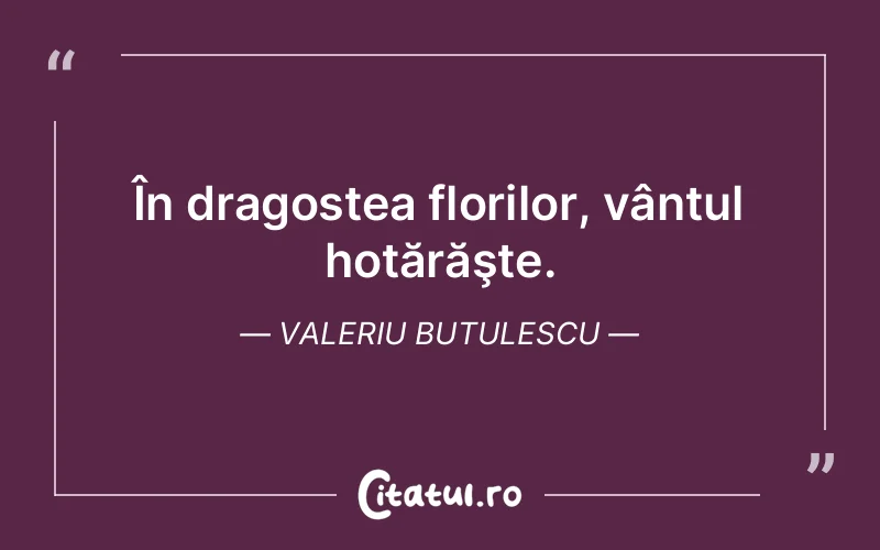 În dragostea florilor, vântul hotărăşte. Valeriu Butulescu