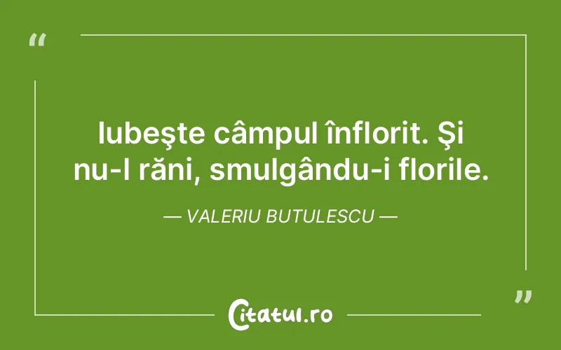 Iubeşte câmpul înflorit. Şi nu-l răni, smulgându-i florile. Valeriu Butulescu
