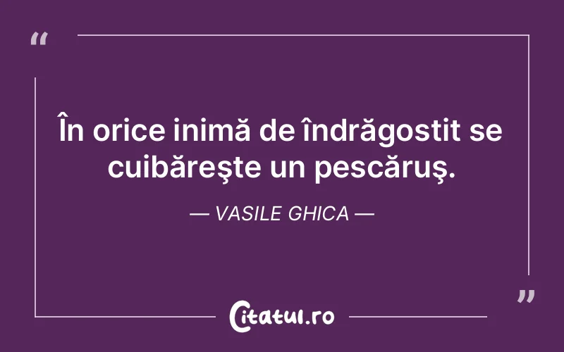 În orice inimă de îndrăgostit se cuibăreşte un pescăruş. Vasile Ghica