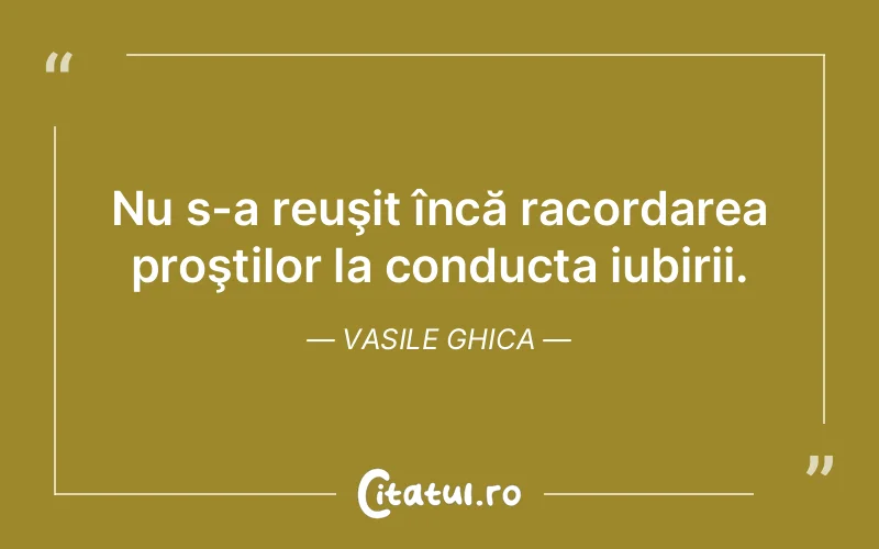 Nu s-a reuşit încă racordarea proştilor la conducta iubirii. Vasile Ghica