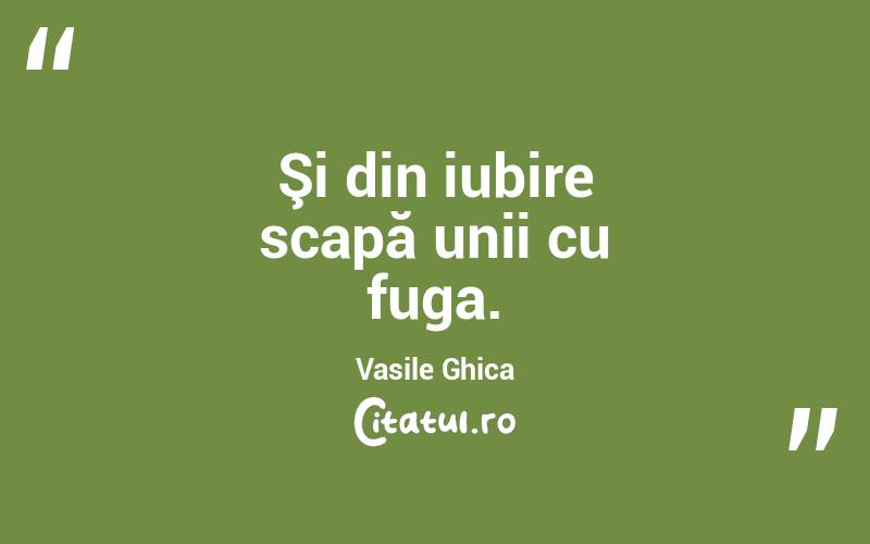 Şi din iubire scapă unii cu fuga. Vasile Ghica
