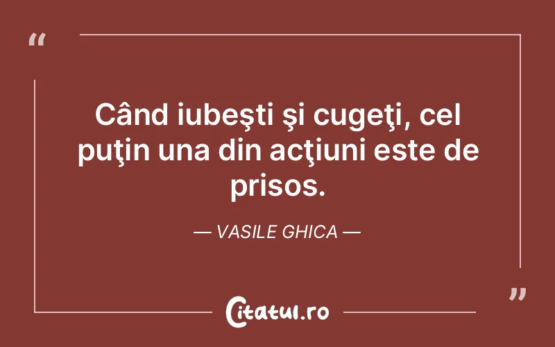 Când iubeşti şi cugeţi, cel puţin una din acţiuni este de prisos. Vasile Ghica