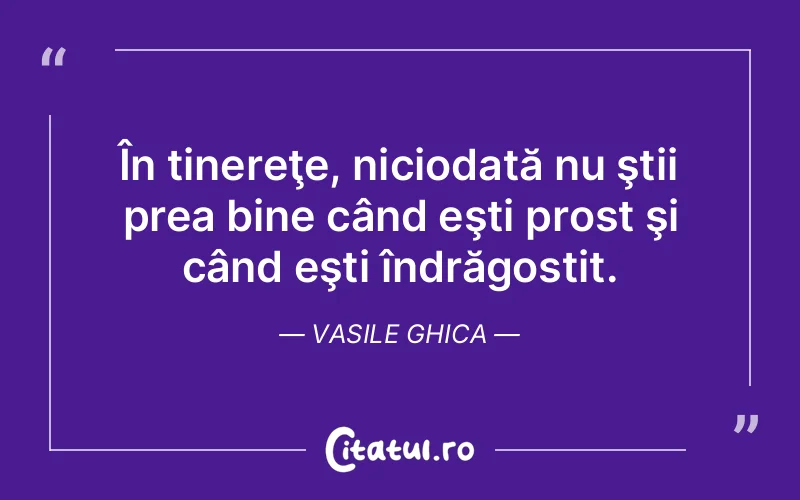În tinereţe, niciodată nu ştii prea bine când eşti prost şi când eşti îndrăgostit. Vasile Ghica
