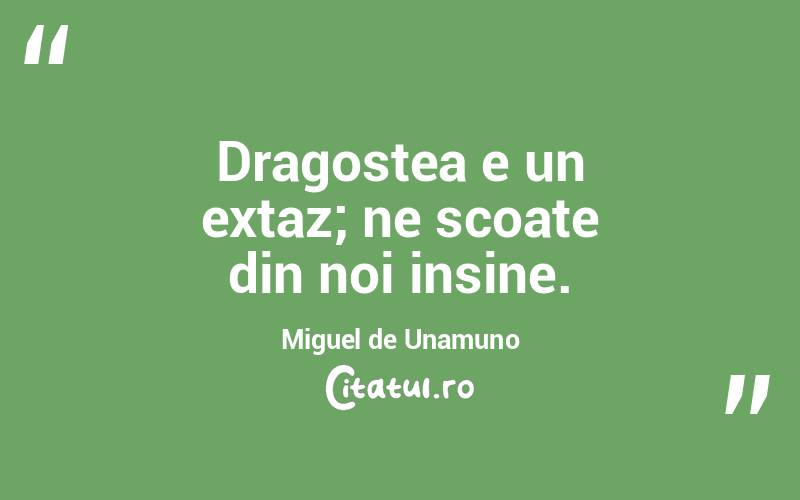 Dragostea e un extaz; ne scoate din noi insine. Miguel de Unamuno
