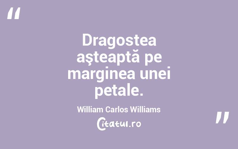Dragostea aşteaptă pe marginea unei petale. William Carlos Williams
