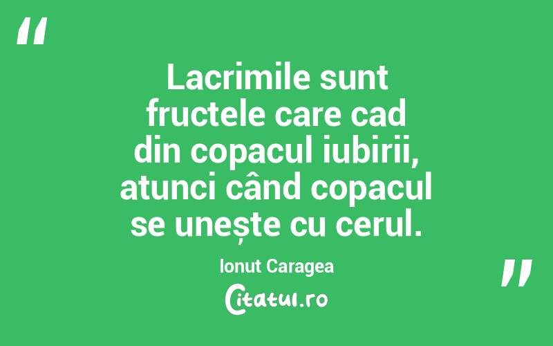 Lacrimile sunt fructele care cad din copacul iubirii, atunci când copacul se unește cu cerul. Ionuț Caragea
