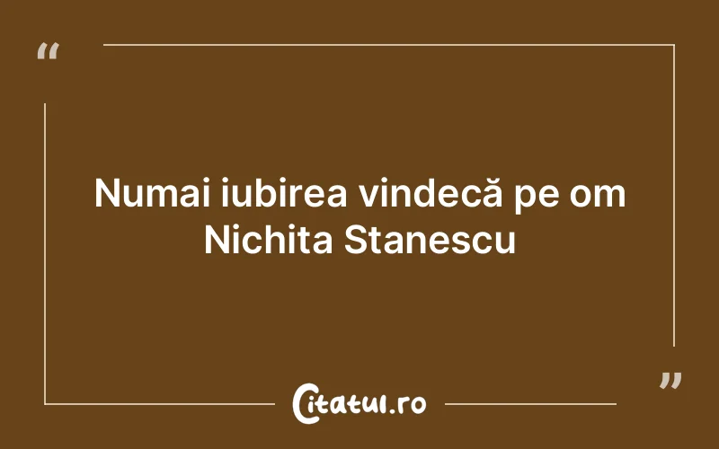 Numai iubirea vindecă pe om Nichita Stanescu