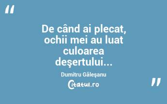 De când ai plecat, ochii mei au luat culoarea deşertului... Dumitru Găleşanu...