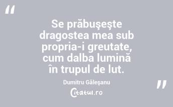 Se prăbuşeşte dragostea mea sub propria-i greutate, cum dalba lumină în trupul de lut. Dumitru Găleşanu...