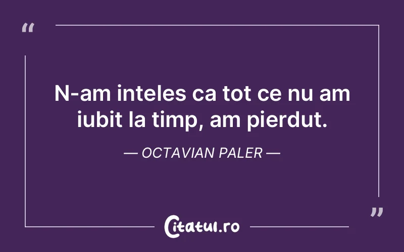 N-am inteles ca tot ce nu am iubit la timp, am pierdut. Octavian Paler