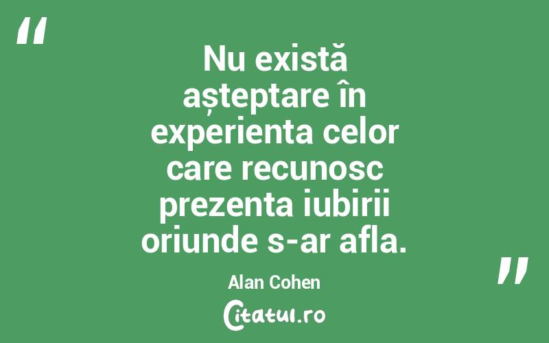 Nu există așteptare în experiența celor care recunosc prezența iubirii oriunde s-ar afla. Alan Cohen
