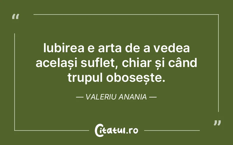 Iubirea e arta de a vedea același suflet, chiar și când trupul obosește. Valeriu Anania