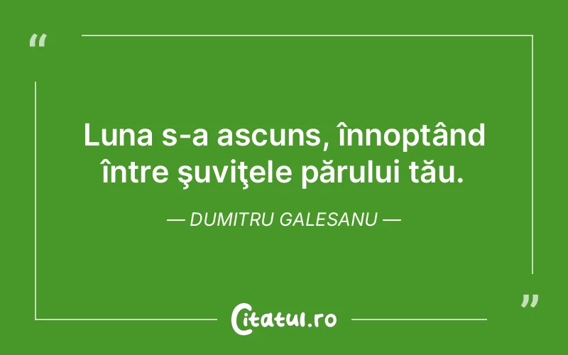 Luna s-a ascuns, înnoptând între şuviţele părului tău. Dumitru Galesanu