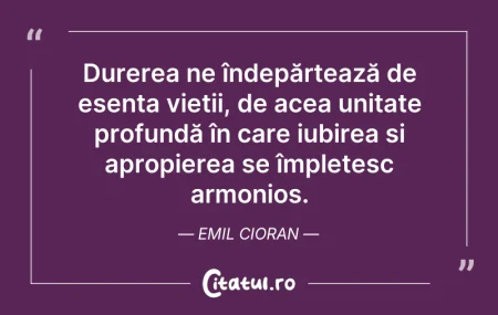 Citeste si: Durerea ne îndepărtează de esența vieții...