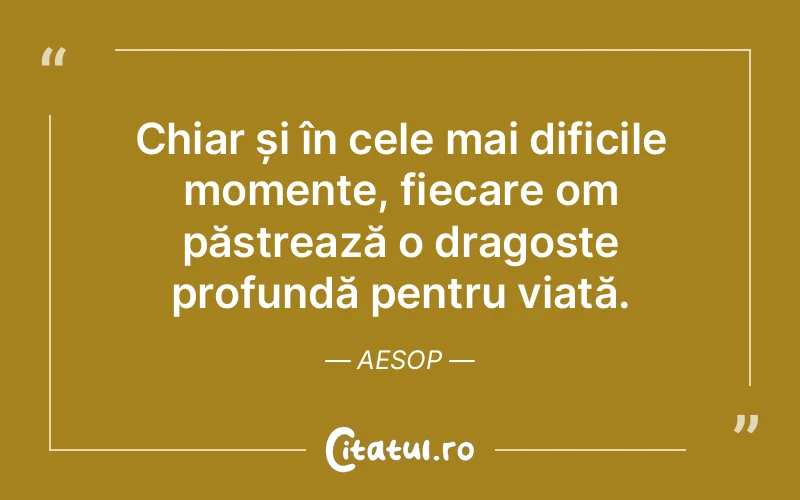 Chiar și în cele mai dificile momente, fiecare om păstrează o dragoste profundă pentru viață. Aesop