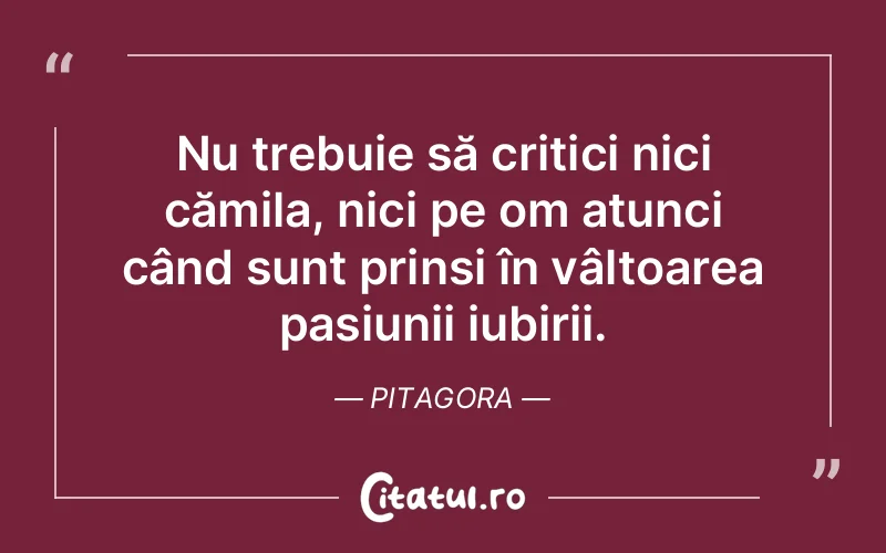 Nu trebuie să critici nici cămila, nici pe om atunci când sunt prinsi în vâltoarea pasiunii iubirii. Pitagora
