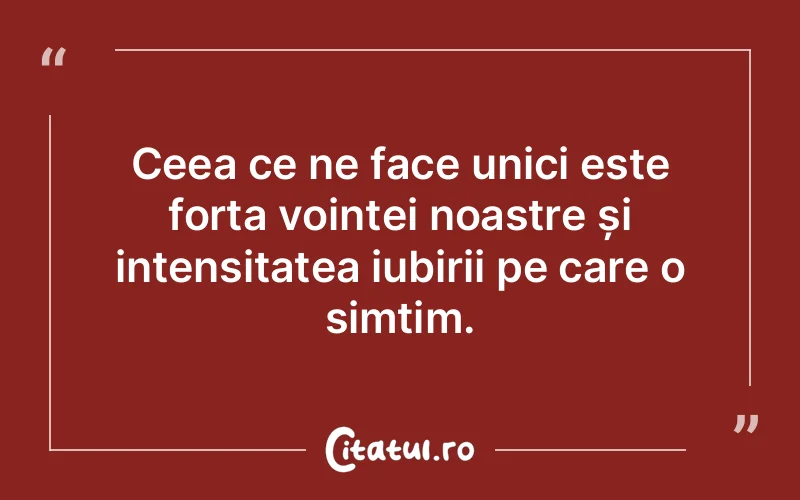 Ceea ce ne face unici este forța voinței noastre și intensitatea iubirii pe care o simțim.