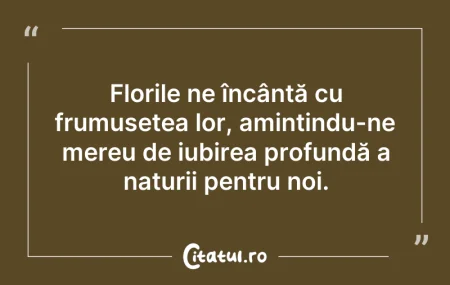 Citeste si: Florile ne încântă cu frumusețea lor, am...