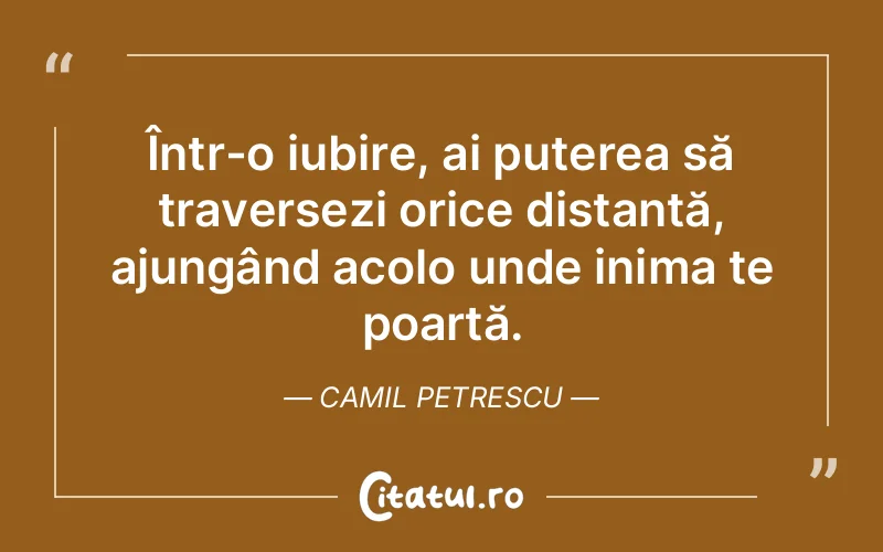 Într-o iubire, ai puterea să traversezi orice distanță, ajungând acolo unde inima te poartă. Camil Petrescu