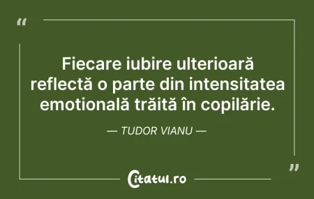 Citeste si: Fiecare iubire ulterioară reflectă o par...