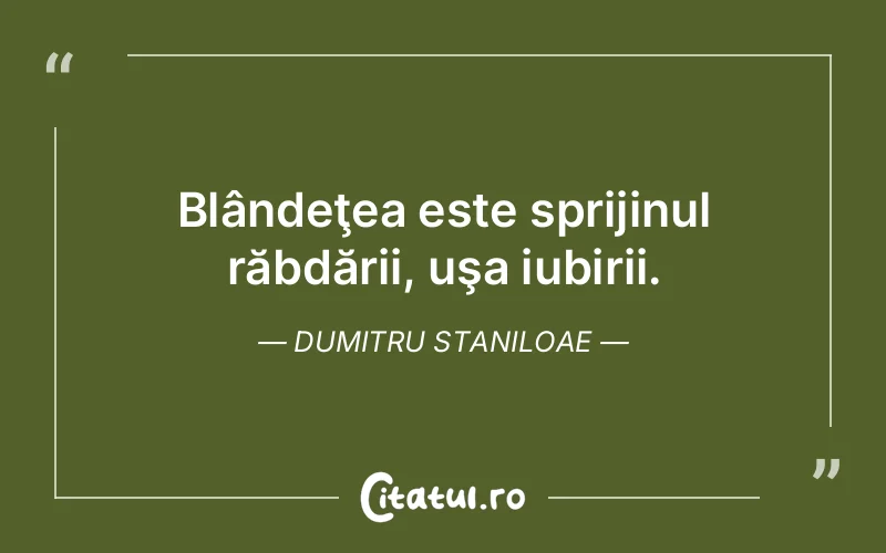 Blândeţea este sprijinul răbdării, uşa iubirii. Dumitru Staniloae