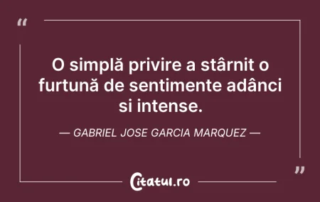 Citeste si: O simplă privire a stârnit o furtună de ...
