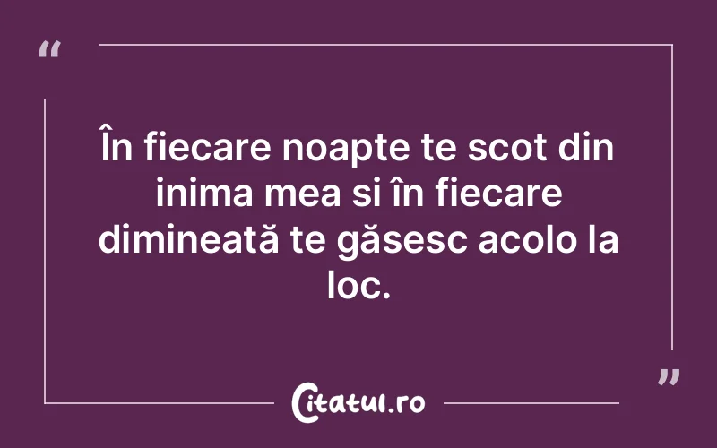 În fiecare noapte te scot din inima mea și în fiecare dimineață te găsesc acolo la loc.