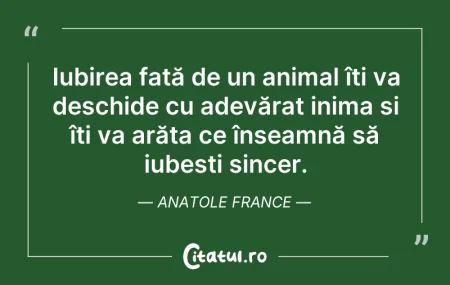 Citeste si: Iubirea față de un animal îți va deschid...