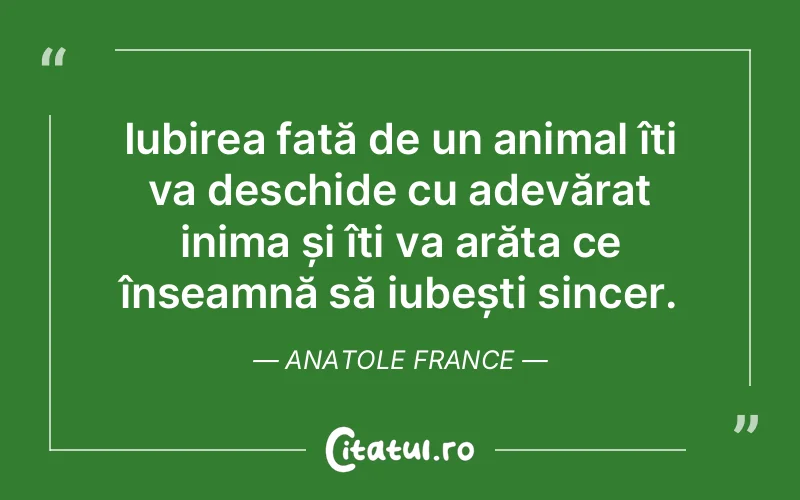 Iubirea față de un animal îți va deschide cu adevărat inima și îți va arăta ce înseamnă să iubești sincer. Anatole France