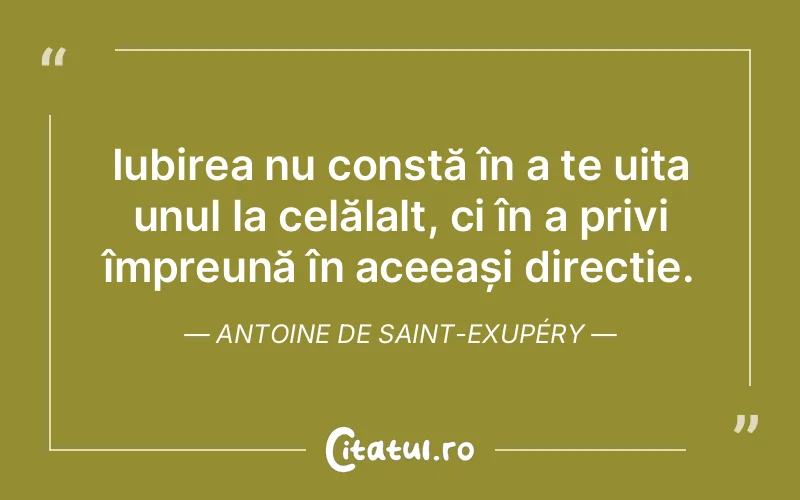 Iubirea nu constă în a te uita unul la celălalt, ci în a privi împreună în aceeași direcție. Antoine de Saint-Exupéry