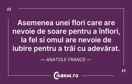 Citeste si: Asemenea unei flori care are nevoie de s...