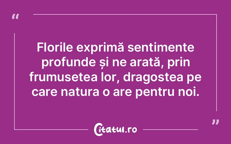 Florile exprimă sentimente profunde și ne arată, prin frumusețea lor, dragostea pe care natura o are pentru noi.