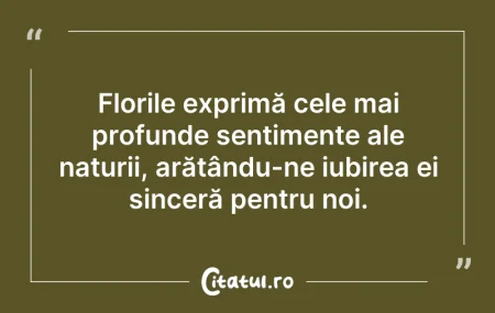 Citeste si: Florile exprimă cele mai profunde sentim...
