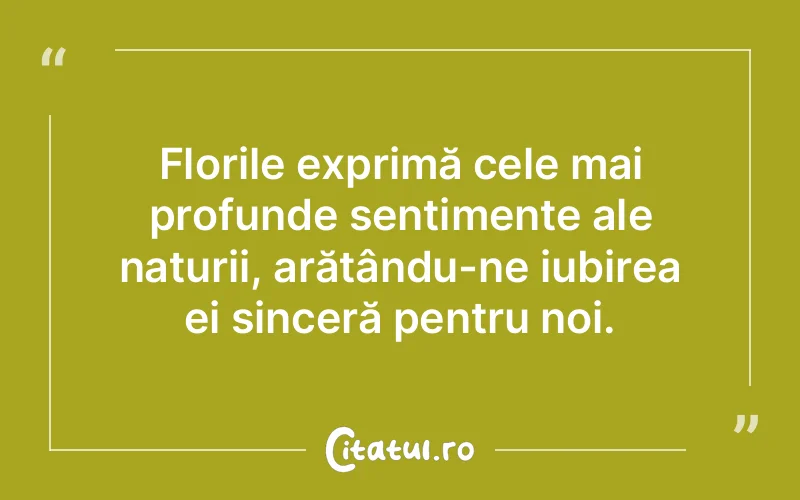 Florile exprimă cele mai profunde sentimente ale naturii, arătându-ne iubirea ei sinceră pentru noi.