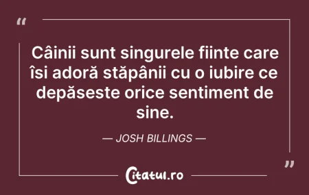 Citeste si: Câinii sunt singurele ființe care își ad...