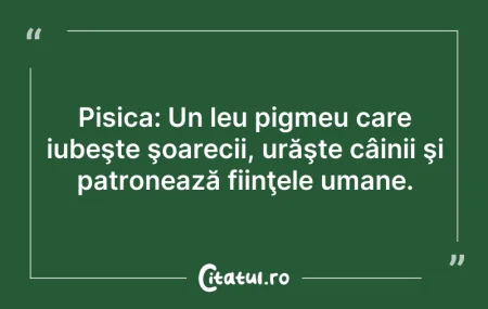 Citeste si: Pisica: Un leu pigmeu care iubeşte şoare...