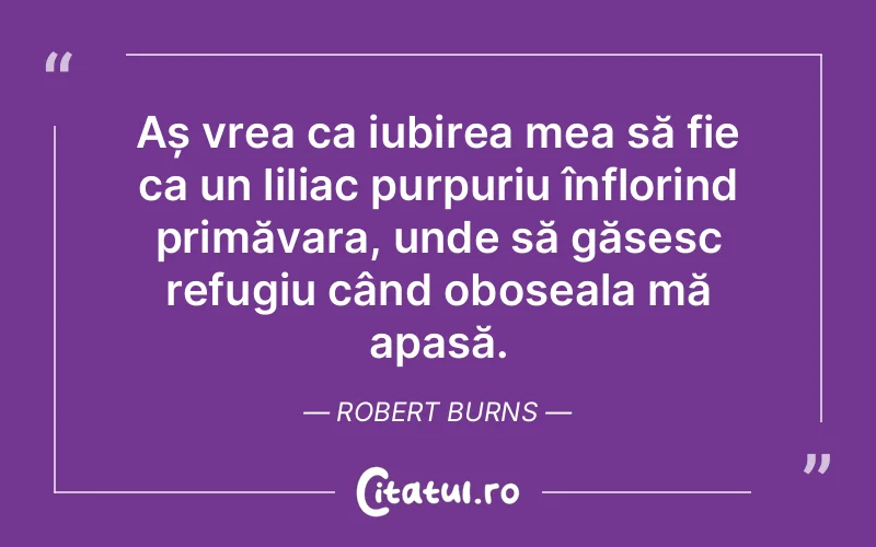 Aș vrea ca iubirea mea să fie ca un liliac purpuriu înflorind primăvara, unde să găsesc refugiu când oboseala mă apasă. Robert Burns