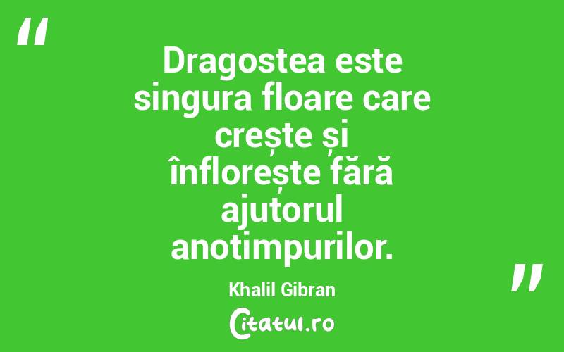 Dragostea este singura floare care crește și înflorește fără ajutorul anotimpurilor. Khalil Gibran
