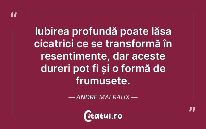 Iubirea profundă poate lăsa cicatrici ce se transformă în resentimente, dar aceste dureri pot fi și o formă de frumusețe. Andre Malraux