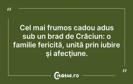 Citeste si: Cel mai frumos cadou adus sub un brad de...