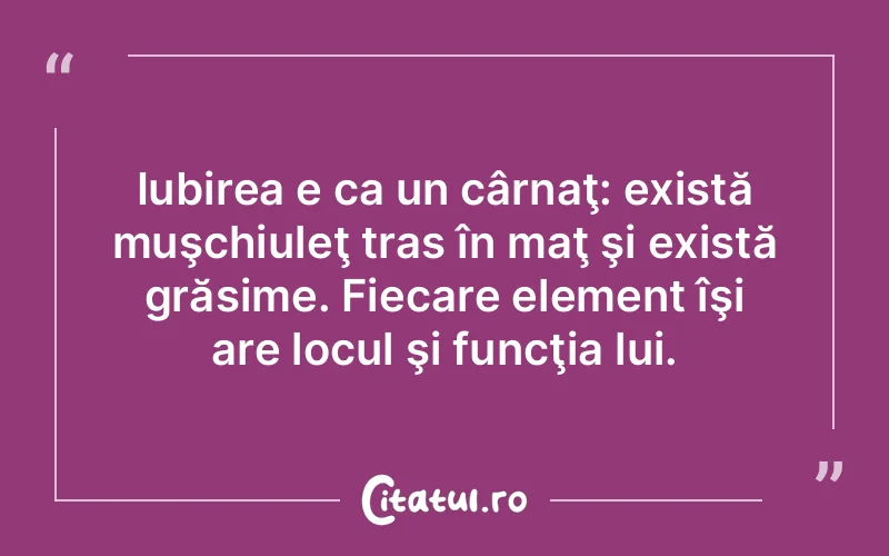 Iubirea e ca un cârnaţ: există muşchiuleţ tras în maţ şi există grăsime. Fiecare element îşi are locul şi funcţia lui.