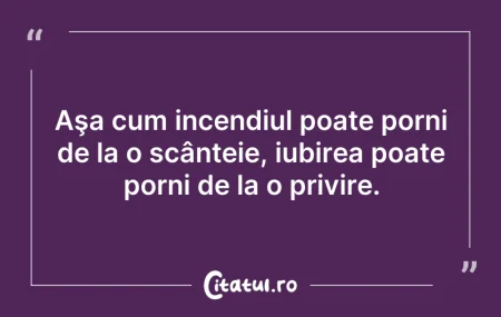 Citeste si: Aşa cum incendiul poate porni de la o sc...