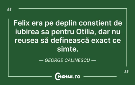 Citeste si: Felix era pe deplin conștient de iubirea...