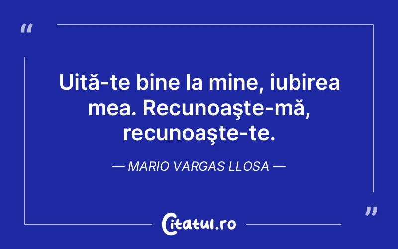 Uită-te bine la mine, iubirea mea. Recunoaşte-mă, recunoaşte-te. Mario Vargas Llosa