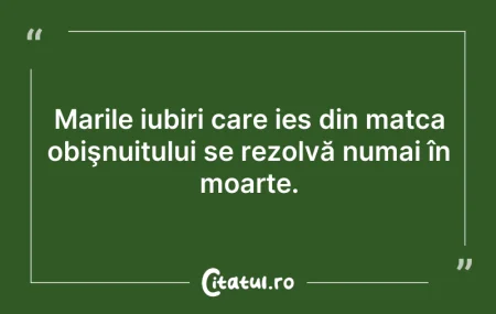 Citeste si: Marile iubiri care ies din matca obişnui...