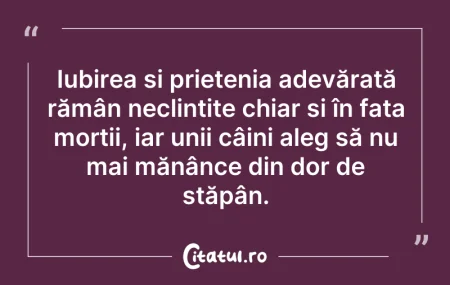 Citeste si: Iubirea și prietenia adevărată rămân nec...